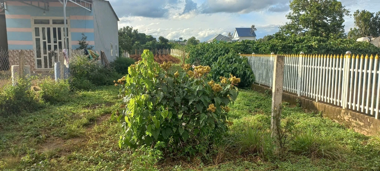 1300m2 hẻm đối diện trường cấp 3 hoàng hoa thắm, n'thôn hạ, đức trọng cũ, lâm đồng