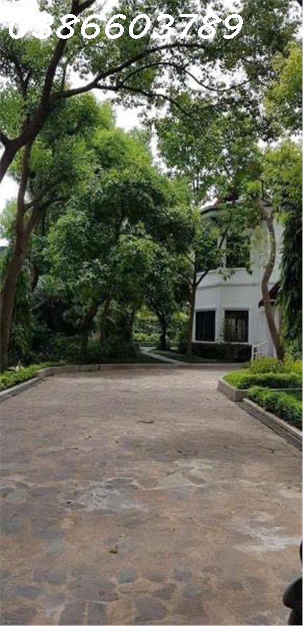 238m² – Ngọc Thuỵ – MT 40m – 3 tầng – Giá 230 tỷ