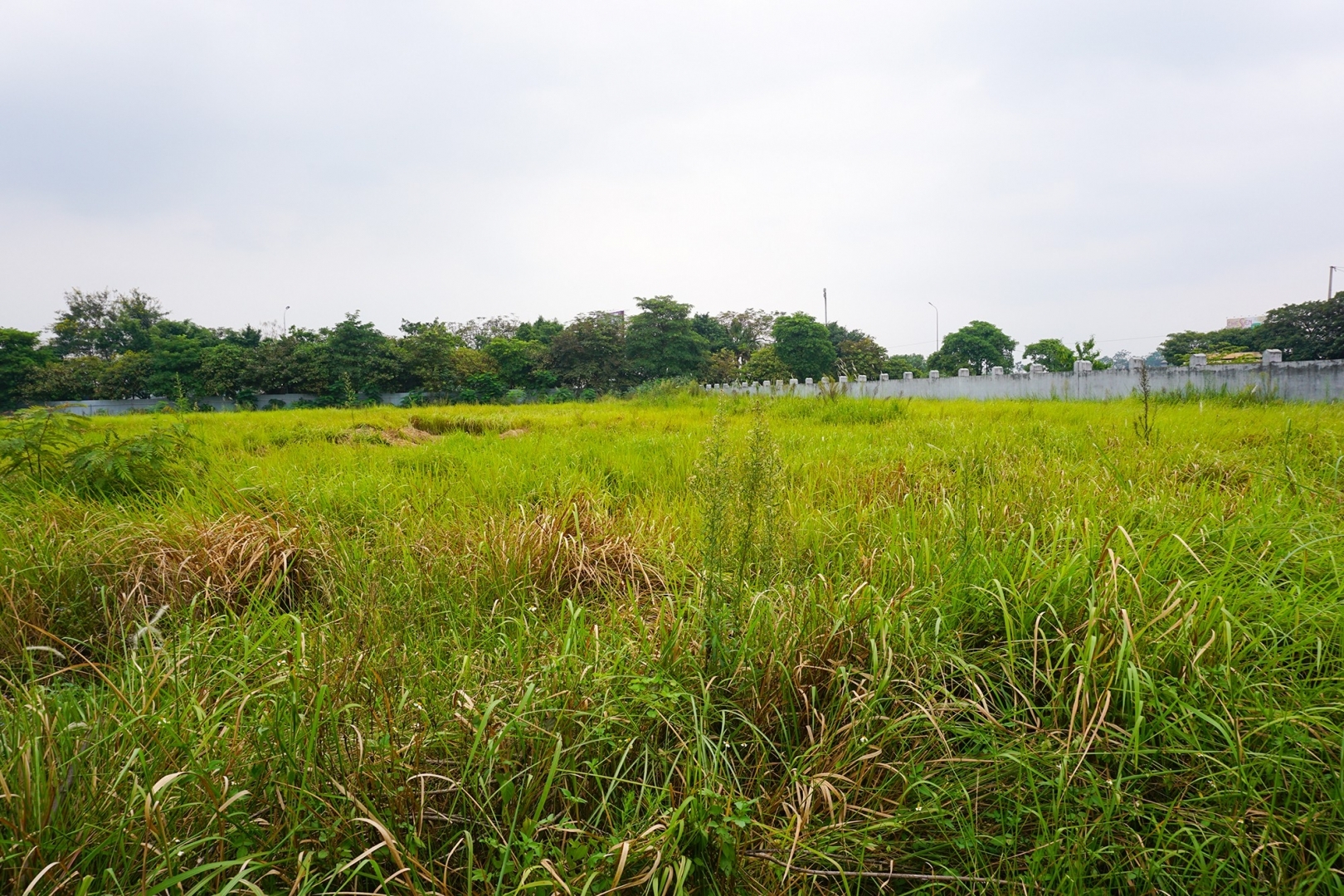 Bán 3500m2 đất cụm công nghiệp Ninh Hiệp Gia Lâm Hà Nội. Lô 2 mặt tiền