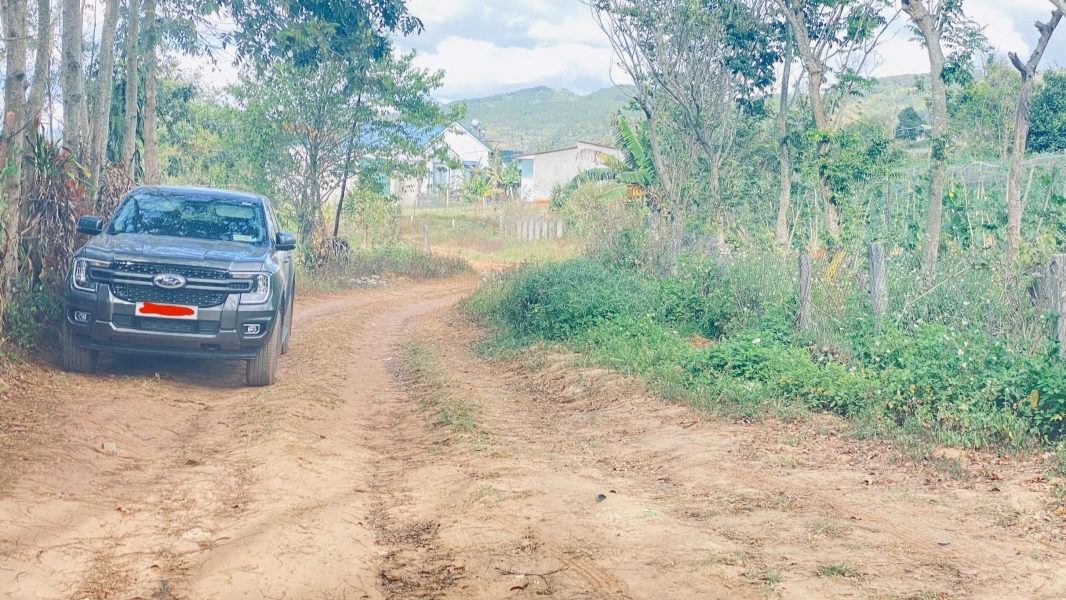 Bán 4 sào phú hội pre, đức trọng, lâm đồng, nhà c4, điện nước đầy đủ