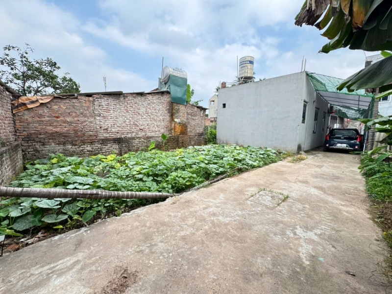 Bán 505m đất thôn Tráng Việt xã Tráng Việt Mê Linh. Đón sóng cầu Thượng Cát