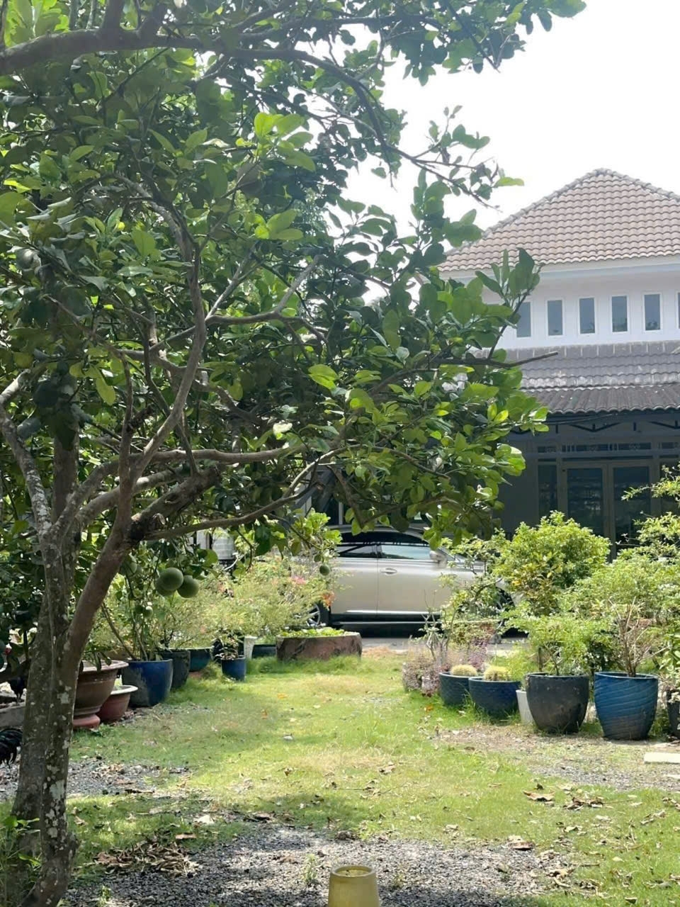 BÁN BIỆT THỰ VƯỜN + ĐẤT MẶT TIỀN NHỰA – TÂN THÔNG HỘI CỦ CHI – NGANG KHỦNG 20M