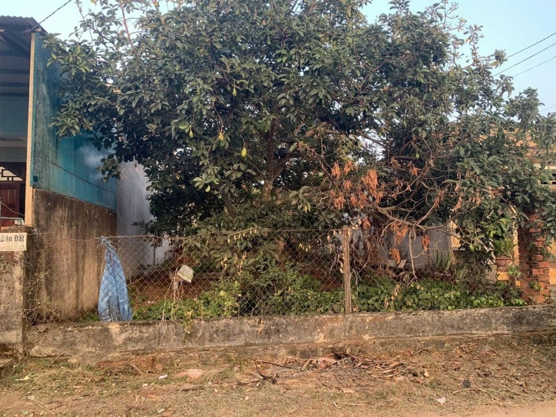 BÁN ĐẤT 100% THỔ CƯ – XUÂN THIỆN THỐNG NHẤT