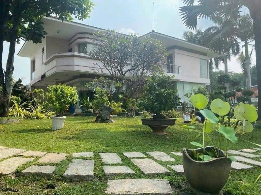 BÁN ĐẤT (19.5x45) TẶNG BIỆT THỰ SÂN VƯỜN VIP – HÀ HUY GIÁP – GIÁ CHỈ 42 TỶ