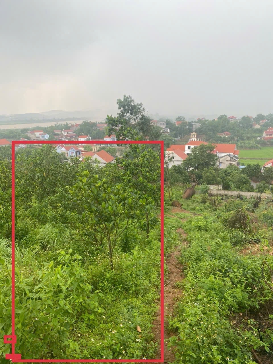 BÁN ĐẤT DIỆN TÍCH RỘNG GẦN 550M² – VỊ TRÍ ĐẸP TẠI THÔN BẮC XÃ ĐỒNG VIỆT HUYỆN YÊN DŨNG
