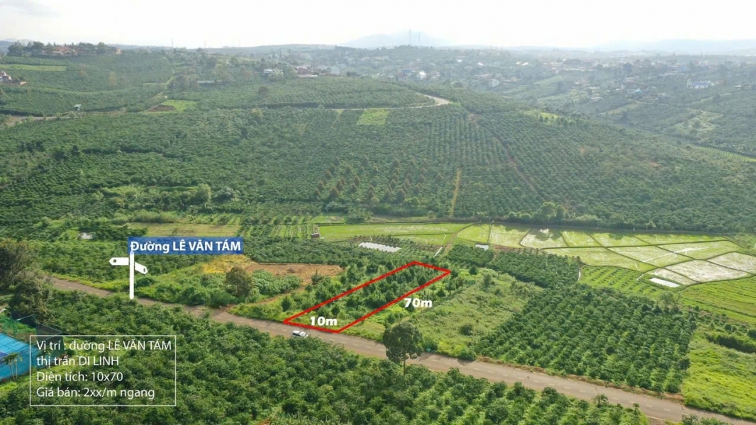BÁN ĐẤT MẶT TIỀN LÊ VĂN TÁM – DI LINH LÂM ĐỒNG - 700m2 GIÁ CHỈ 2 TỶ 500 TRIỆU