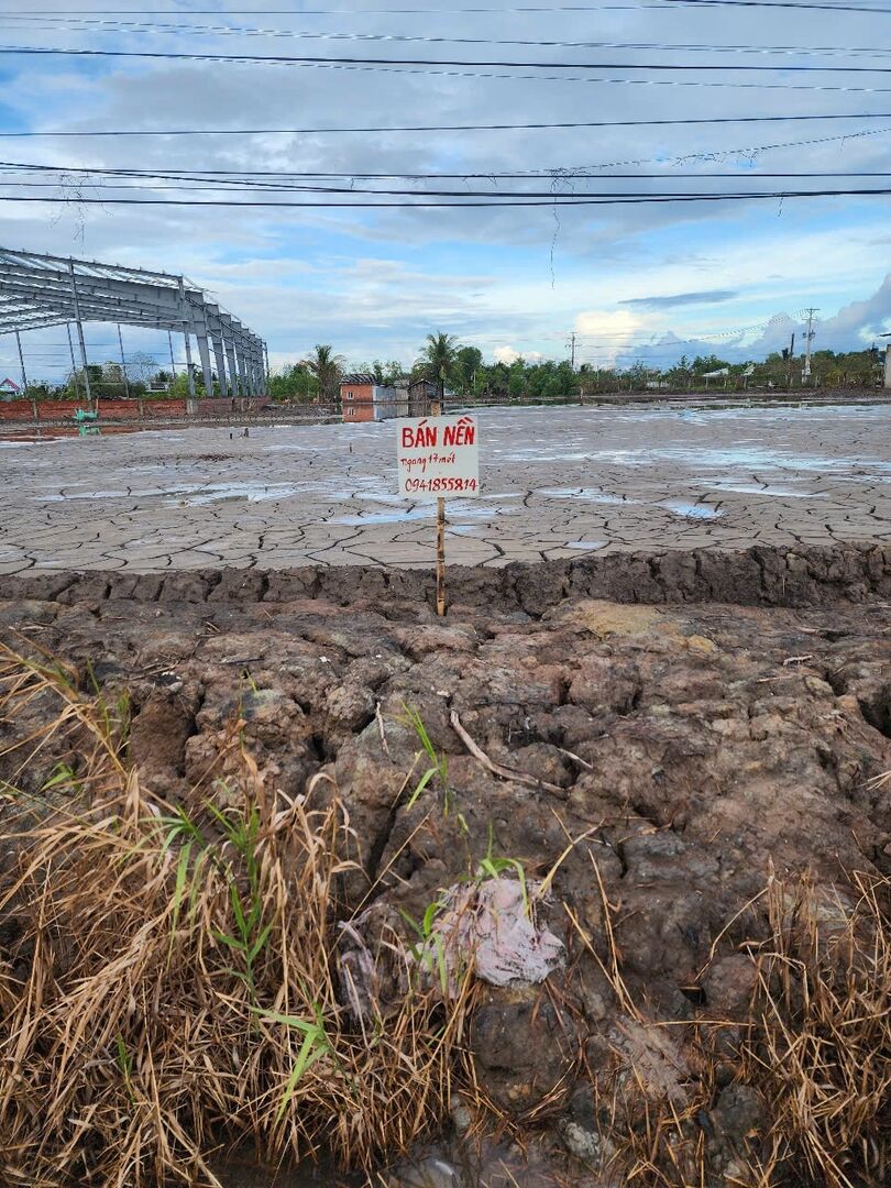 Bán Đất Mặt Tiền Quốc lộ 1- thị trấn Cái Nước Cà Mau