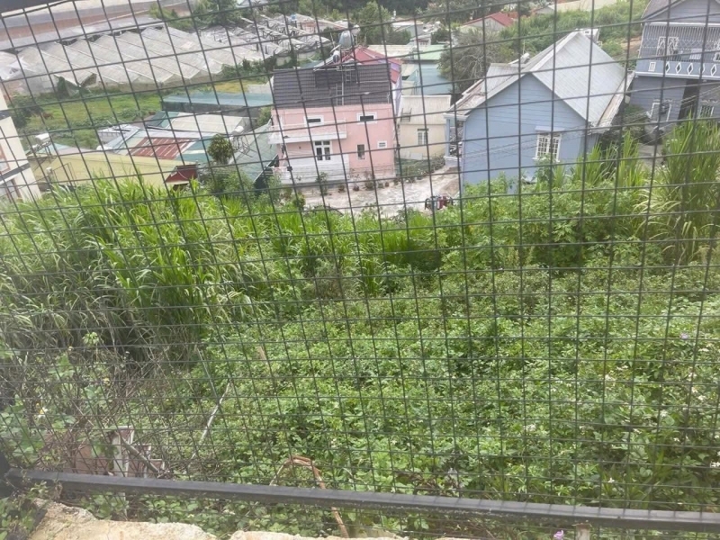 Bán Đất Nền Biệt Thự View Đẹp – Đường Tô Hiến Thành 329m2