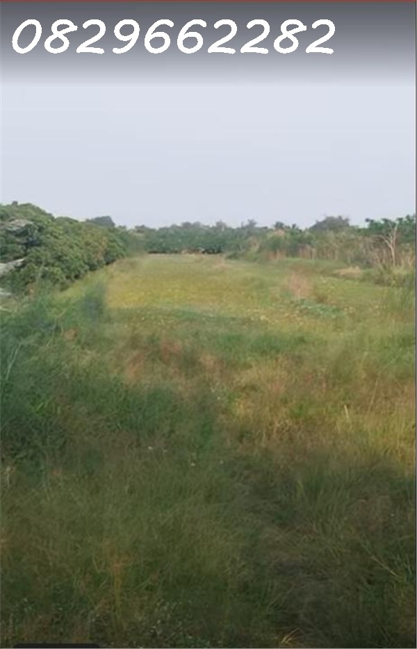 Bán Đất Nông Nghiệp 4678m2 Sổ Hồng MT 5m Đường Tám Sáng Tân Bình Châu Thành Đồng Tháp. Giá 1.5 Tỷ.