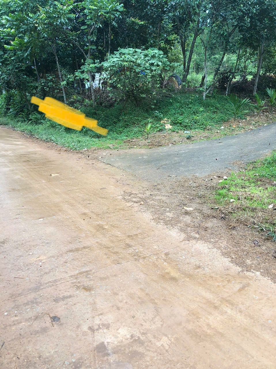 BÁN ĐẤT TẠI BẢN ĐỒNG AN – XÃ XUÂN LƯƠNG – BẮC NINH