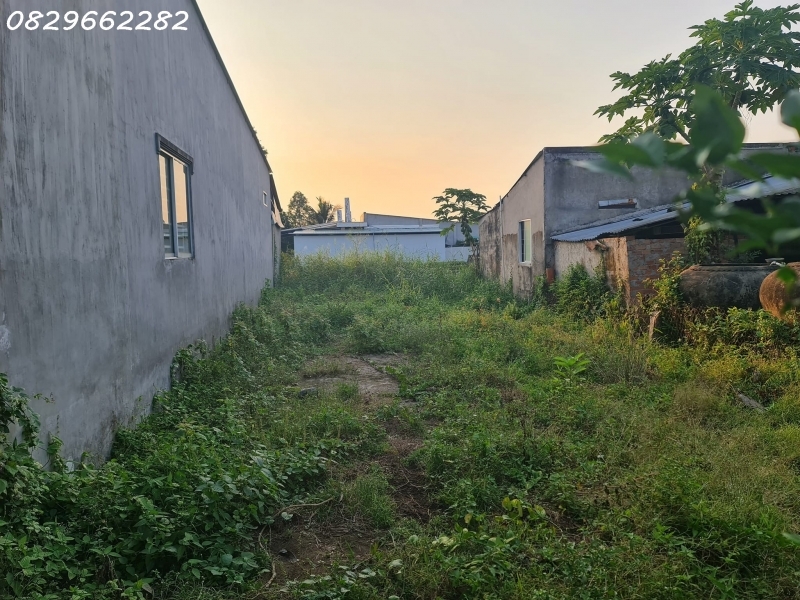 Bán Đất Thổ Cư Sổ Hồng 156m² đường Cai Dao Tân Quy Đông Sa Đéc ĐTháp. Giá 1.35 Tỷ.