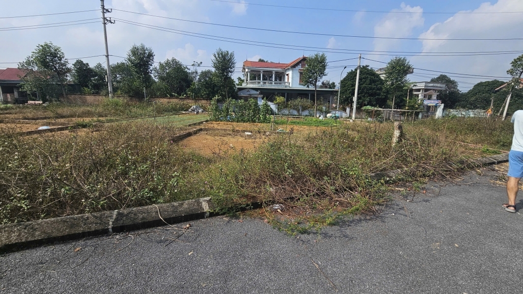 BÁN ĐẤT THỔ CƯ TẠI  KHU TRẠI LÁNG CỔ ĐÔNG SƠN TÂY HÀ NỘI