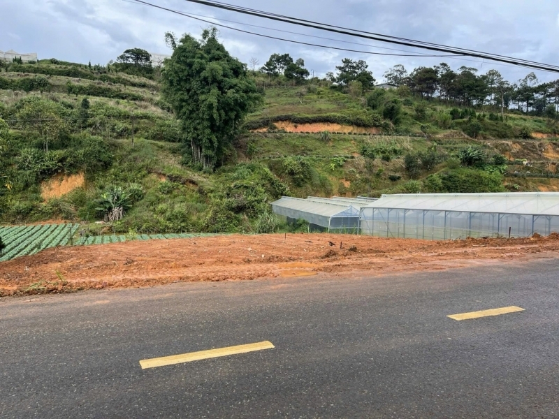 Bán Gấp Đất Biệt Thự Mặt Tiền Đa Phú – P7 Đà Lạt Chỉ 8.5 Tỷ