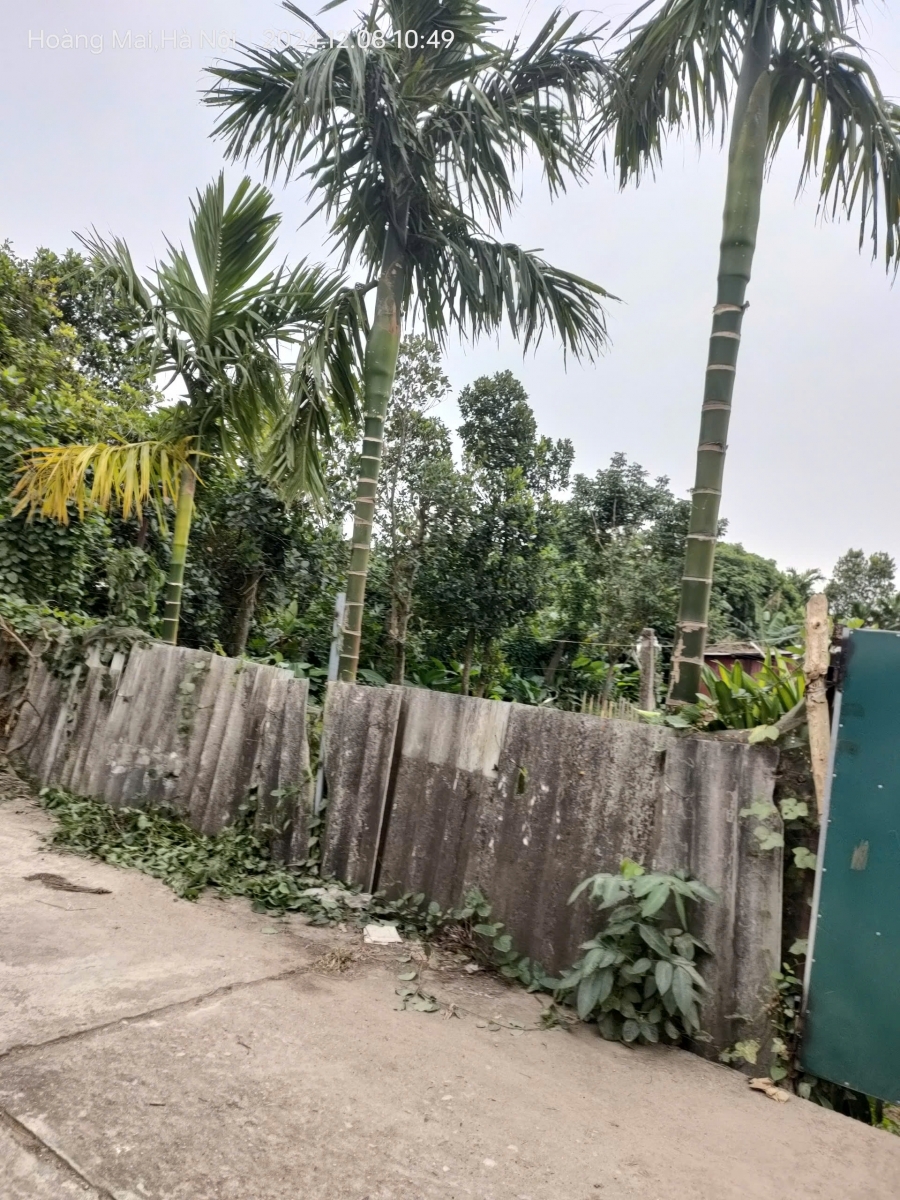 Bán gấp giá rẻ nhà đất Chương Dương 767m cấp 4 mặt tiền 14m 2 tỷ Thường Tín.