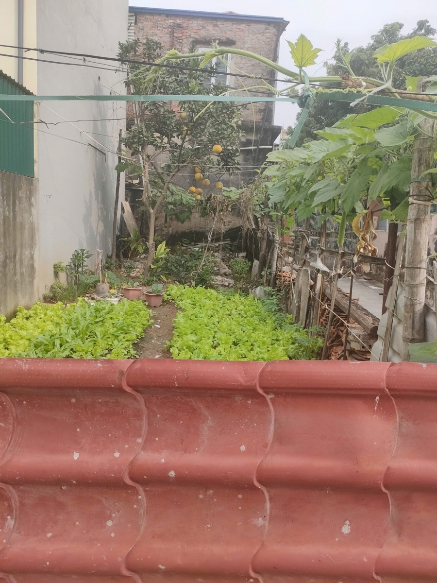 Bán gấp giá rẻ Vạn Phúc 40m đất mặt tiền 5.2m 4 tỷ Thanh Trì.