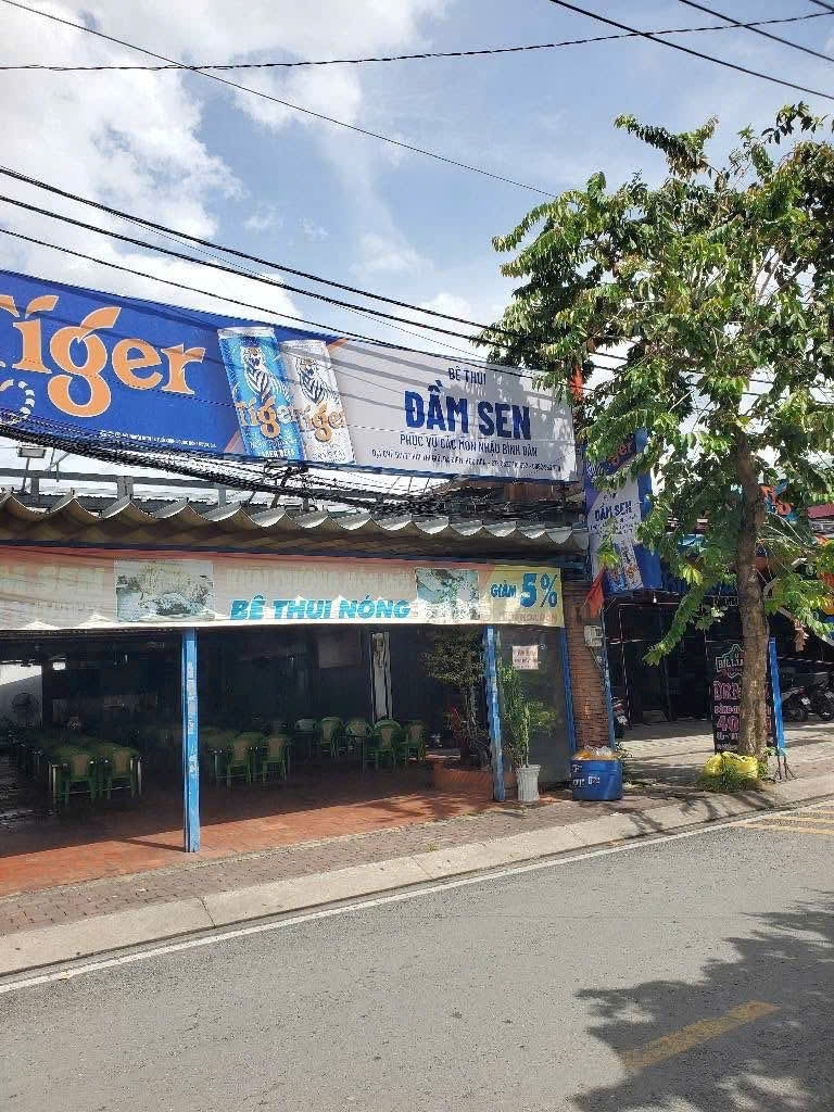 BÁN GIẢM SÂU – MẶT TIỀN THÁI THỊ GIỮ BÀ ĐIỂM (8X30) GIÁ RẺ CHỈ NHĨNH 10Đ