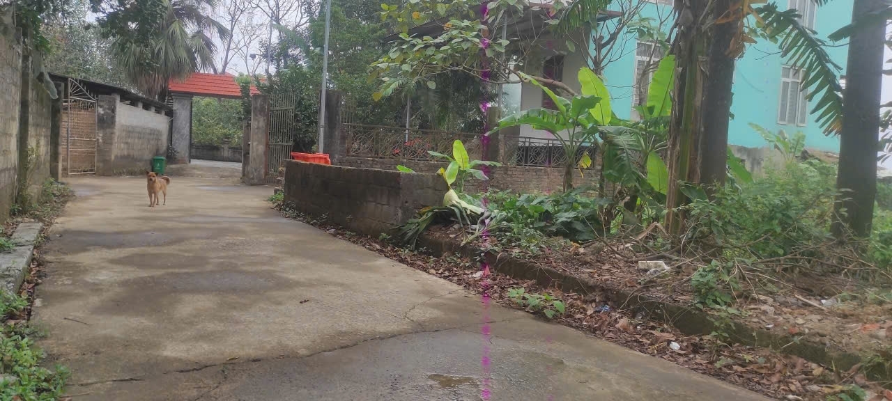 BÁN LÔ ĐẤT ĐẸP - GIÁ TỐT - Vị trí đẹp tại thôn Mai Xá Gia Thuỷ Nho Quan Ninh Bình