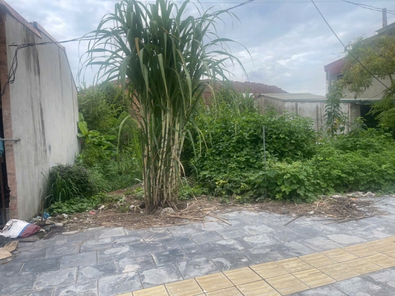 BÁN LÔ ĐẤT VÀNG TRỤC CHÍNH NGHĨA TRUNG – VIỆT YÊN - BẮC GIANG