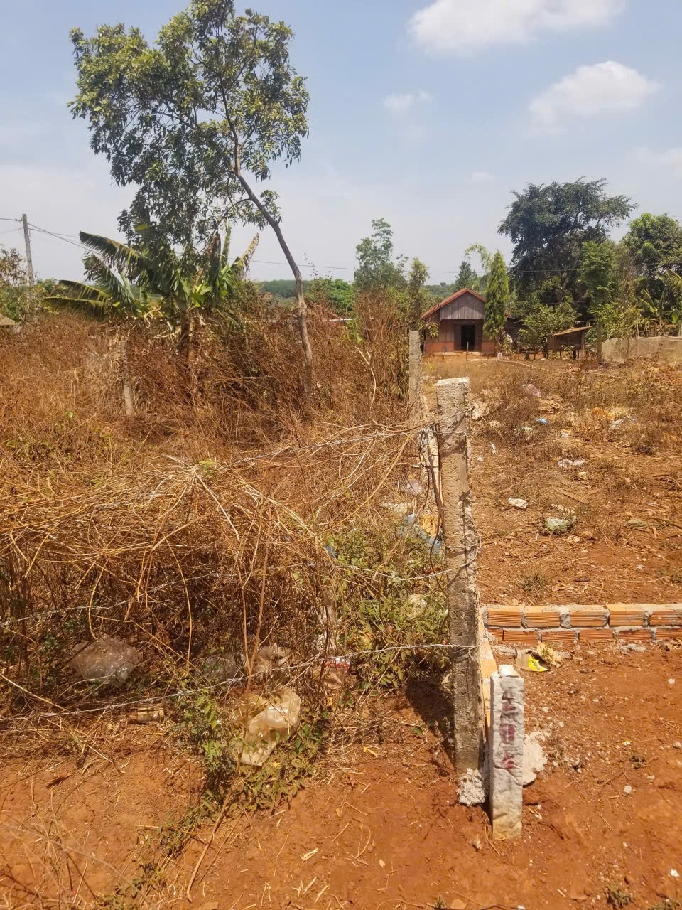 BÁN NỀN ĐẤT Ở + TRỒNG CÂY LÂU NĂM ĐÃ SỔ ĐỎ RIÊNG TẠI XÃ EA KUEH HUYỆN CƯ M'GAR TỈNH DAKLAK