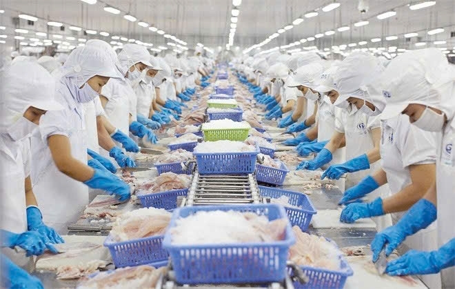 Bán nhà máy chế biến thuỷ hải sản tại Tiền Giang đang hoạt động và đủ tiêu chuẩn xuất khẩu