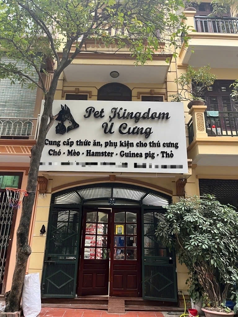 Bán nhà phân lô Nguyễn Cảnh Dị Hoàng Mai Ô tô tránh vỉa hè KD 54m2 21.5 tỷ