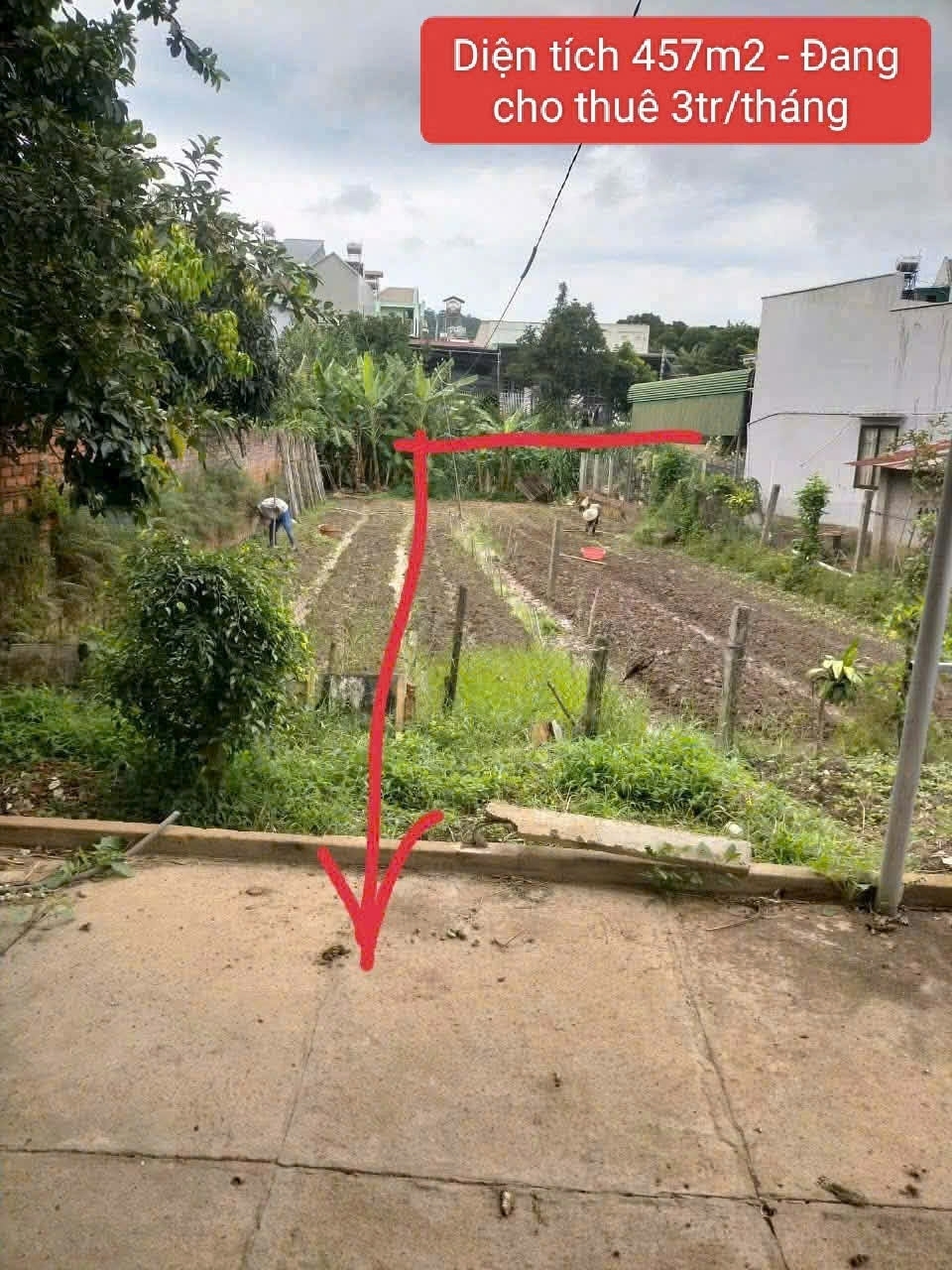 Bán nhà vườn 457m2 Phi nôm - hiệp thạnh - Đức Trọng - Lâm Đồng 26 tỷ