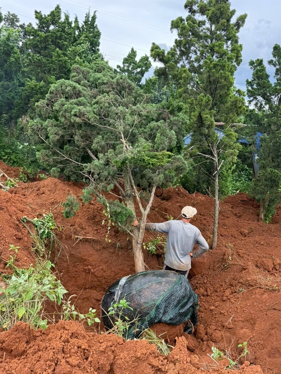 Cần bán 12 lô đất. Xã Phú Hội Xã Ninh Gia xã Tà Hine. xã Lạc Dương. Lâm Đồng.