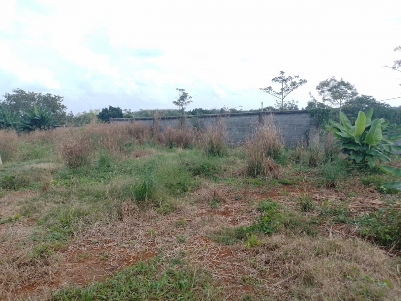 CẦN BÁN ĐẤT 3.000 M² – ĐƯỜNG KIM LONG – LÁNG LỚN XÃ KIM LONG HUYỆN CHÂU ĐỨC BR-VT