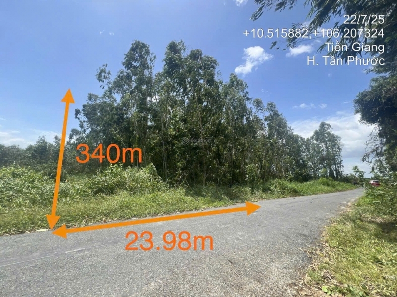 CẦN BÁN ĐẤT – KHU PHỐ 3 THỊ TRẤN MỸ PHƯỚC HUYỆN TÂN PHƯỚC TỈNH TIỀN GIANG