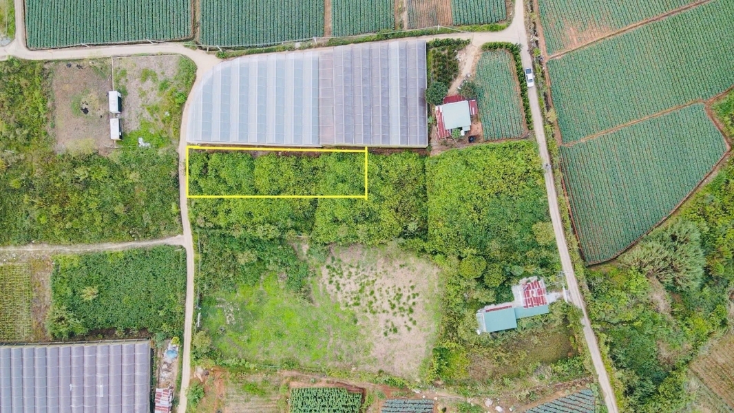 Cần Bán Gấp 1 Lô Sổ Riêng gần 700m2 đường Mimoza - Đà Lạt giá chỉ 2.3 tỷ