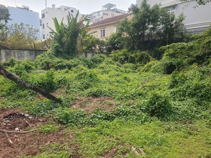 Cần Bán Gấp 2.496m2 Đất HXT Nguyễn Thị Sáu Thới Tam Thôn Hóc Môn- Chỉ 50 Tỷ