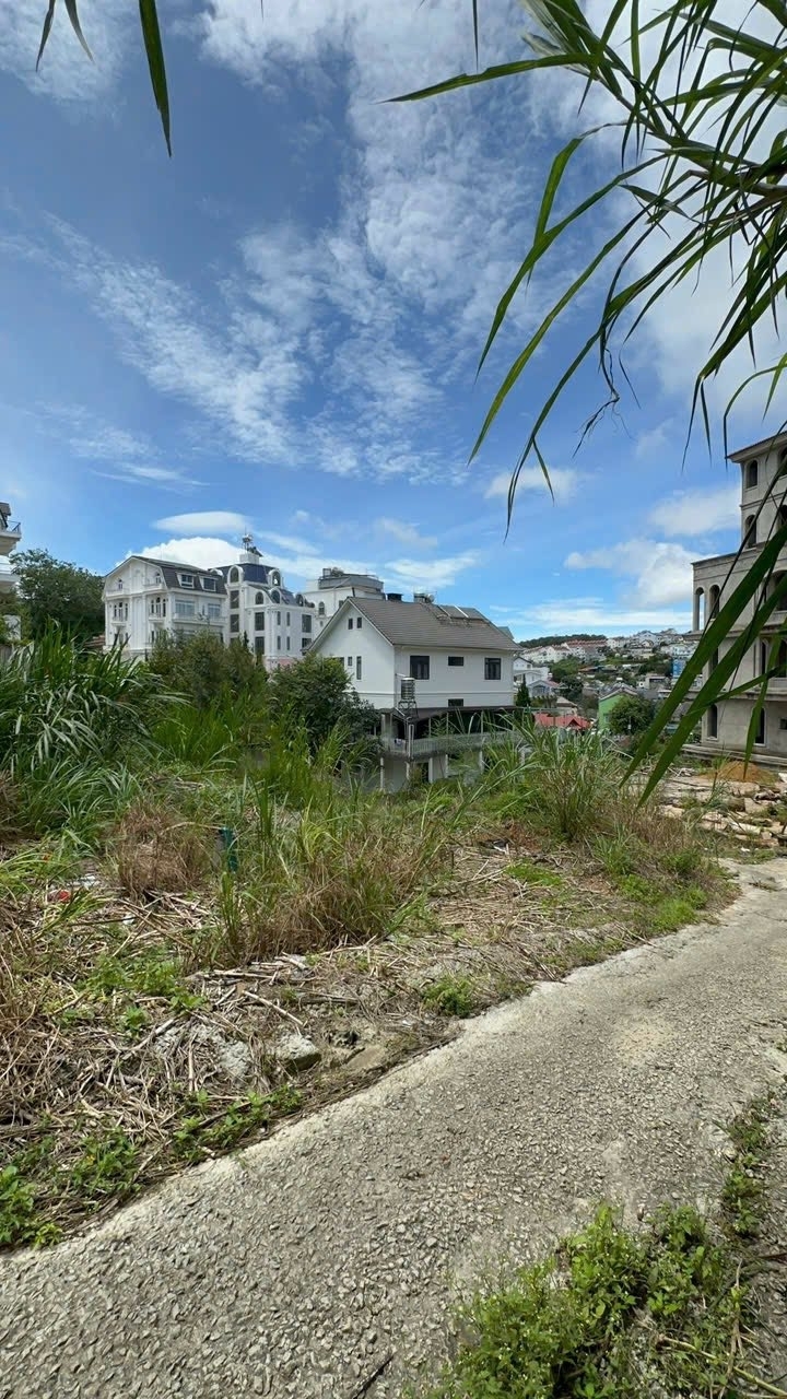 CẦN BÁN GẤP ĐẤT BIỆT THỰ ĐÀ LẠT ĐƯỜNG TÔ HIẾN THÀNH P. XUÂN HƯƠNG 215M2