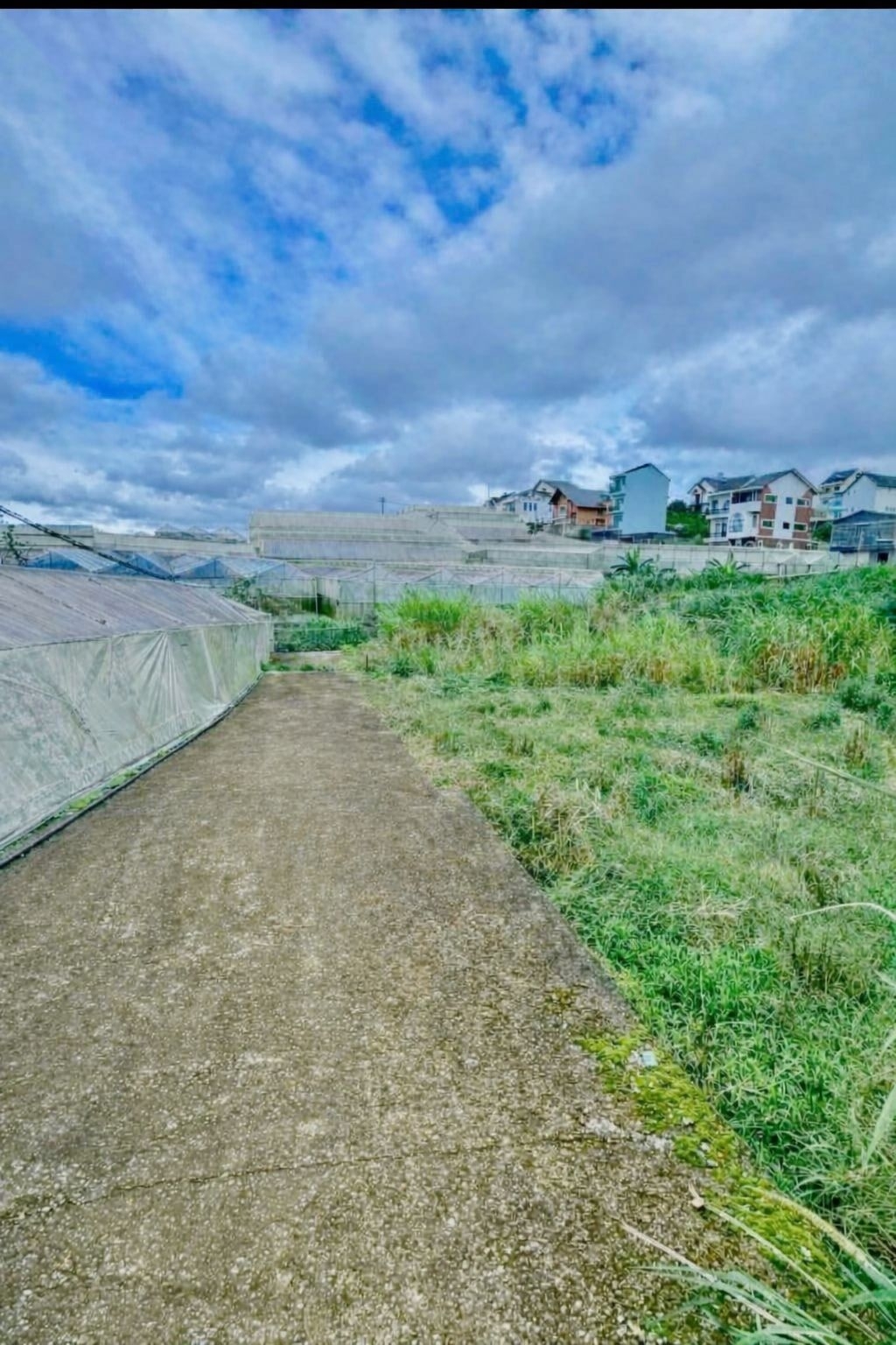 CẦN BÁN GẤP ĐẤT NỀN BIỆT THỰ ĐƯỜNG MAI XUÂN THƯỞNG P. Lâm Viên – Đà Lạt Giá Chỉ 69 Tỷ