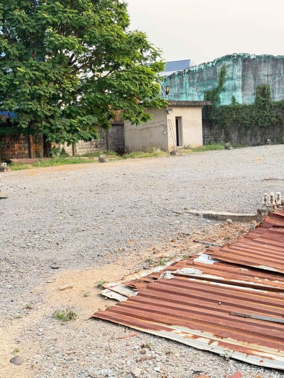 CẦN BÁN GẤP LÔ ĐẤT MẶT TIỀN VÕ THỊ HỒI – XUÂN THỚI ĐÔNG HÓC MÔN