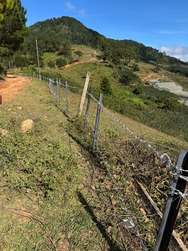 Cần Bán Gấp Lô Đất Rộng View Đẹp Tại Lạc Dương Đà Lạt 9500m2 Giá 9 Tỷ