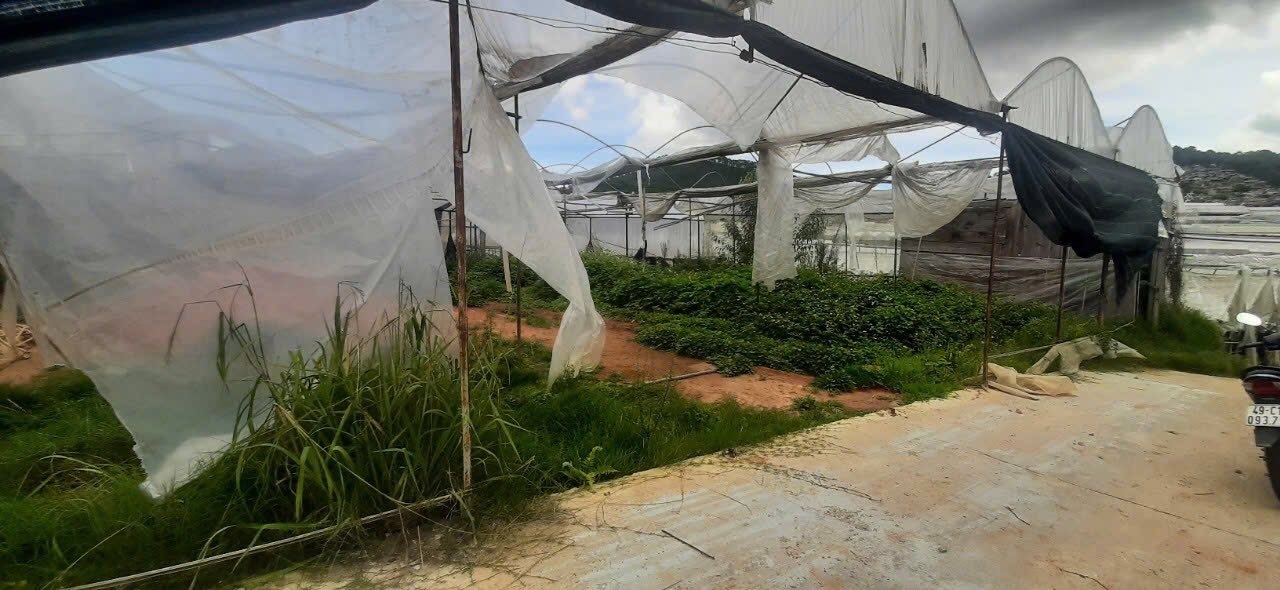 CẦN BÁN GẤP TRONG TUẦN LÔ ĐẤT BIỆT THỰ VIEW THOÁNG TẠI P. LÂM VIÊN - ĐÀ LẠT 500M2 GIÁ CHỈ 7.5 TỶ