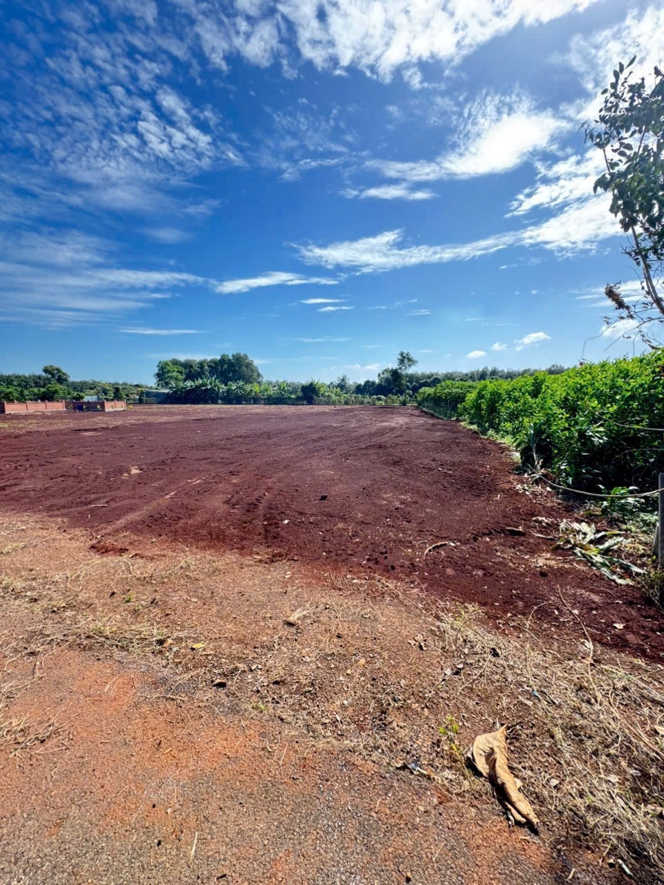 CẦN BÁN LÔ ĐẤT LONG PHƯỚC BRVT – nay thuộc P. TAM LONG TP.HCM