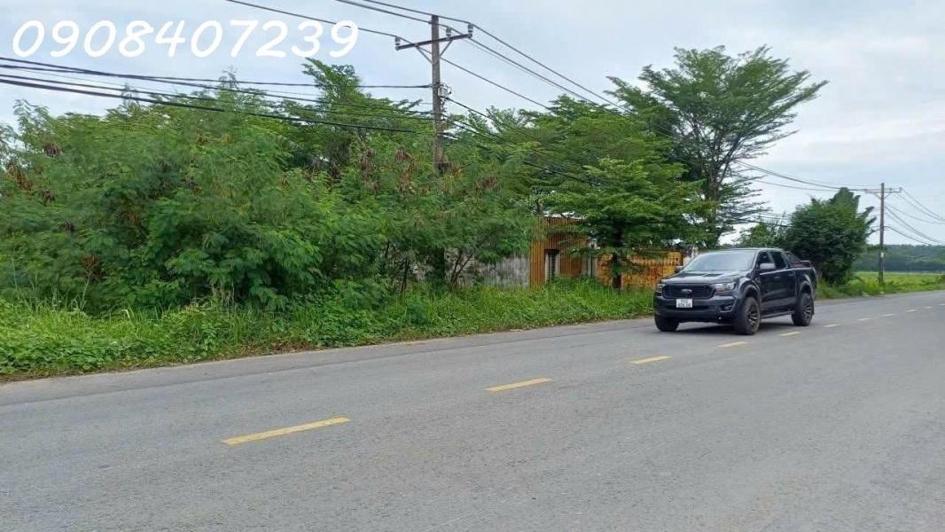 CẦN BÁN LÔ ĐẤT Mặt tiền đường Hồ Văn Tắng Xã Tân thạnh Đông củ Chi HCM