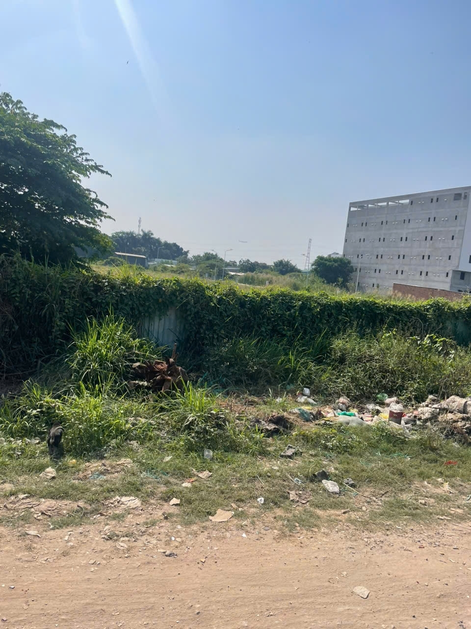 Cần bán lô đất MT Rạch Vườn Lài vị trí đẹp cách Vườn Lài nối dài chỉ 200m cách QL1A 800m