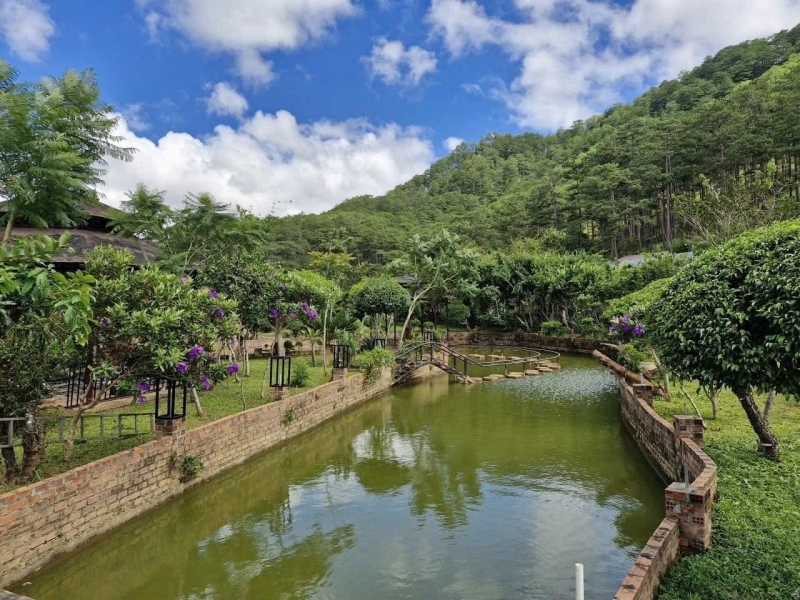 Cần Bán Lô Đất Rộng View Đẹp 19.000m2 Mặt Tiền Mimoza Đà Lạt