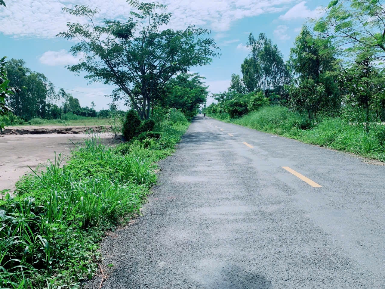 Cần Nhanh Bán Lô Đất Mặt Tiền Dường Nhựa xã Tân Nghĩa Huyện Cao Lãnh Tỉnh Đồng Tháp .