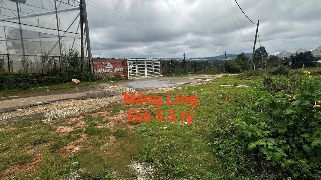 Cần Tiền Bán Đất Biệt Thự View Thoáng Khu Măng Ling Đà Lạt 202m2 Giá Chỉ 5.5 Tỷ
