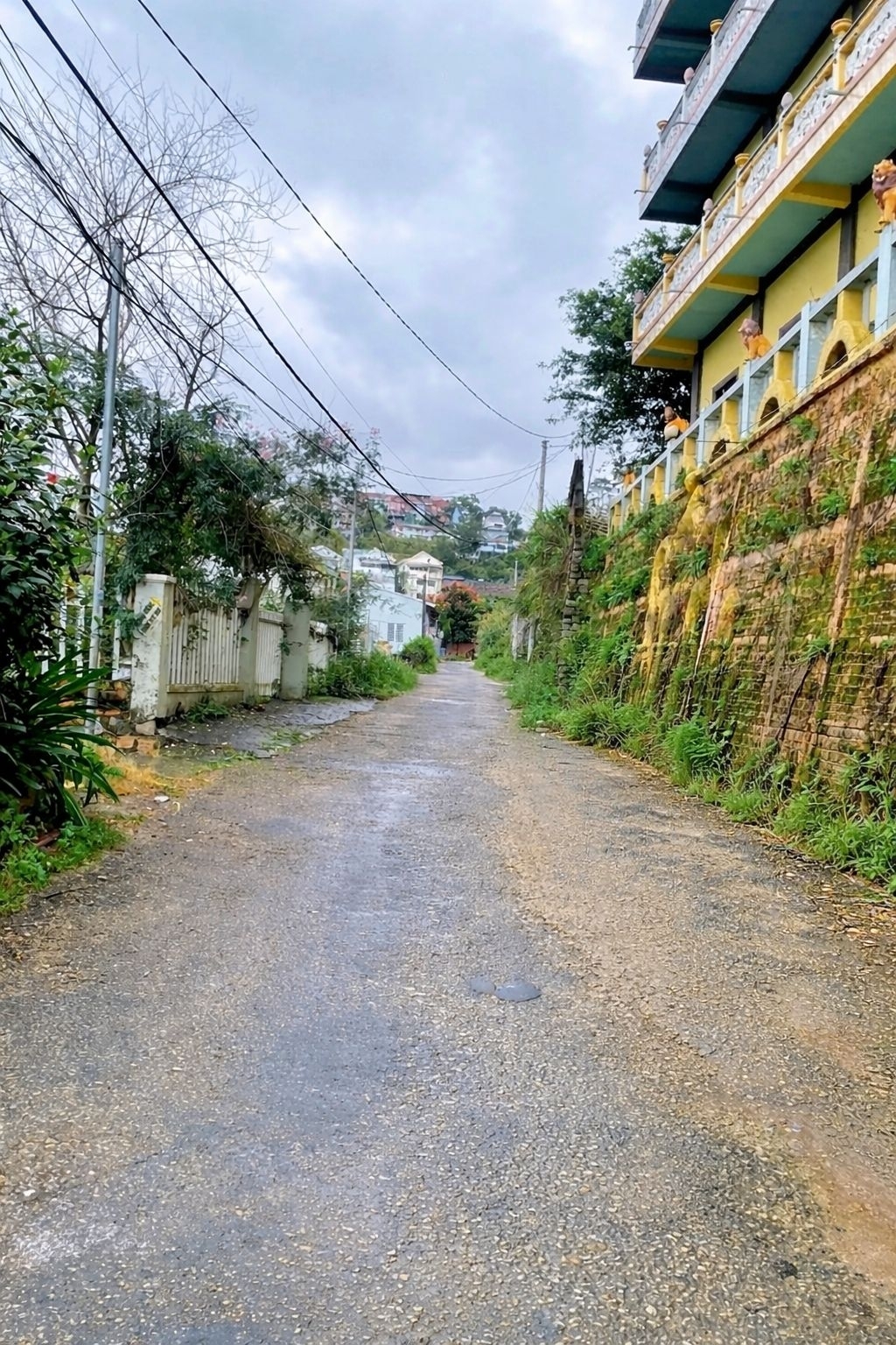 Cần Tiền Bán Đất Xây Dựng Đường Khe Sanh Đà Lạt 108m2 Giá 3.1 Tỷ