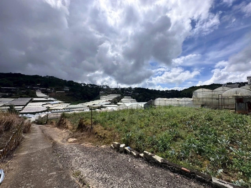 Cần Tiền Bán Đất XD Đà Lạt View Thoáng Đường Trịnh Hoài Đức Đà Lạt 103m2 Giá 3.9 Tỷ