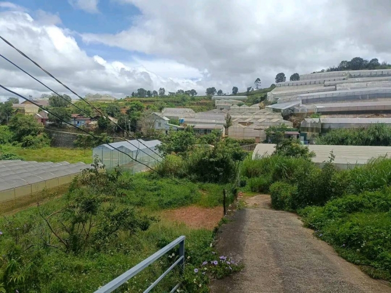 Cần Tiền Bán Gấp Đất Nền Biệt Thự Đường Hùng Vương Đà Lạt 227m2 Giá 8.5 Tỷ