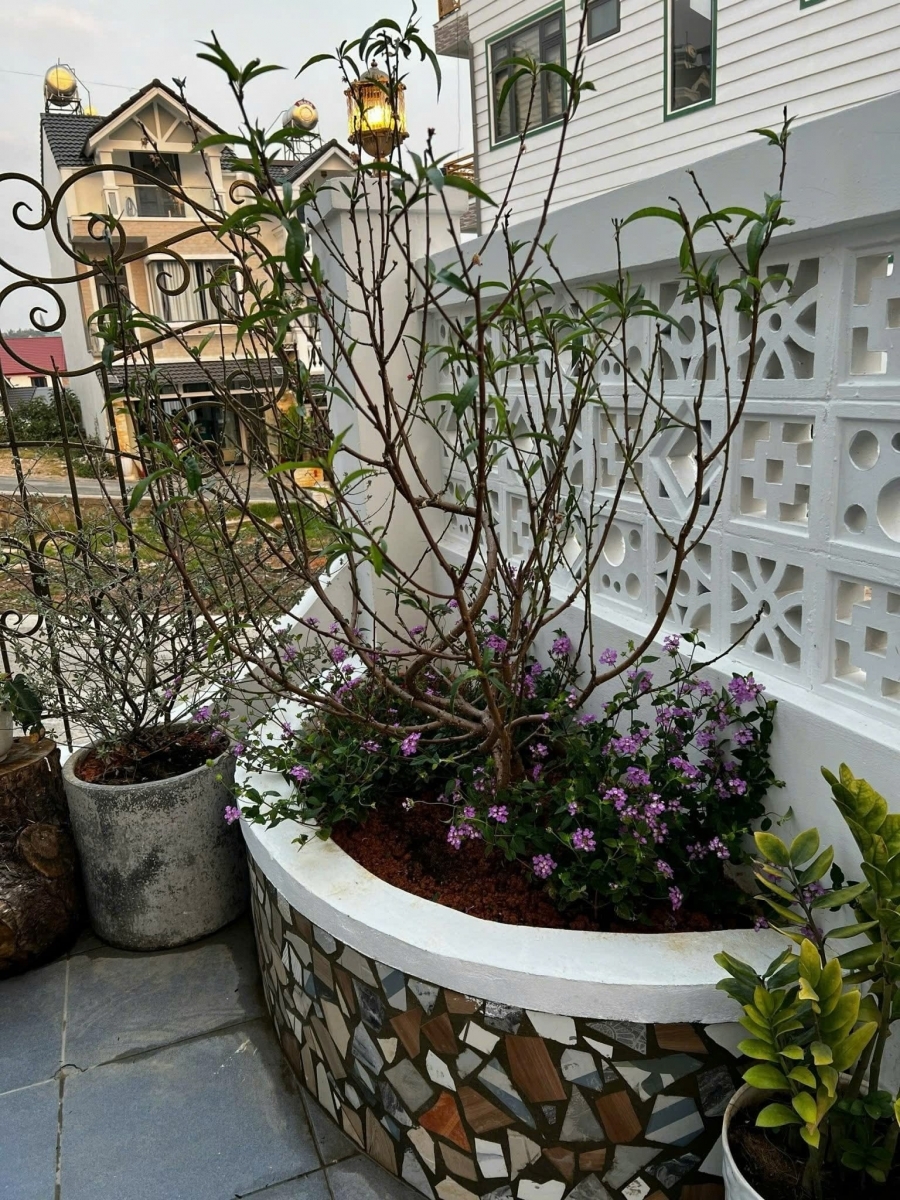 Cần Tiền Bán Gấp Nhà Đẹp Giá Tốt – Đường Nguyễn Đình Quân P.Cam Ly Đà Lạt