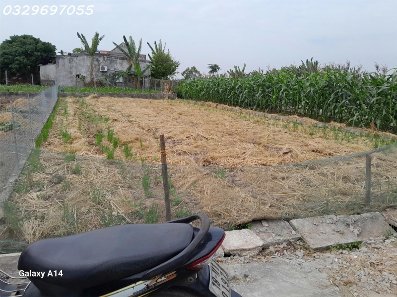 Cần tiền bán nhanh lô đất siêu đẹp trung tâm thị trấn Quất Lâm Dt 212m2 giá 21 tỷ