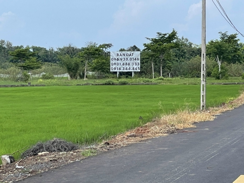 Cc bán rẻ đất dự án khu đô thị villa khách sạn tại Phước Thuận - Hồ Tràm - Vũng Tàu