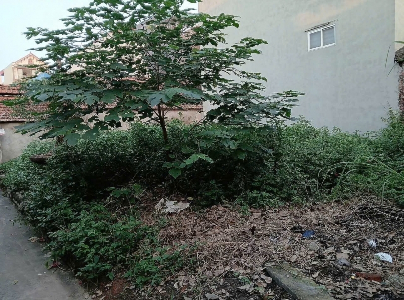 CC EM CẦN TIỀN MUỐN LÔ ĐẤT Ở HIỆP THẬN PHÚC THỌ.DIỆN TÍCH 42M - MẶT -HẬU 4M NHƯ NHAUCÁCH ĐƯỜNG