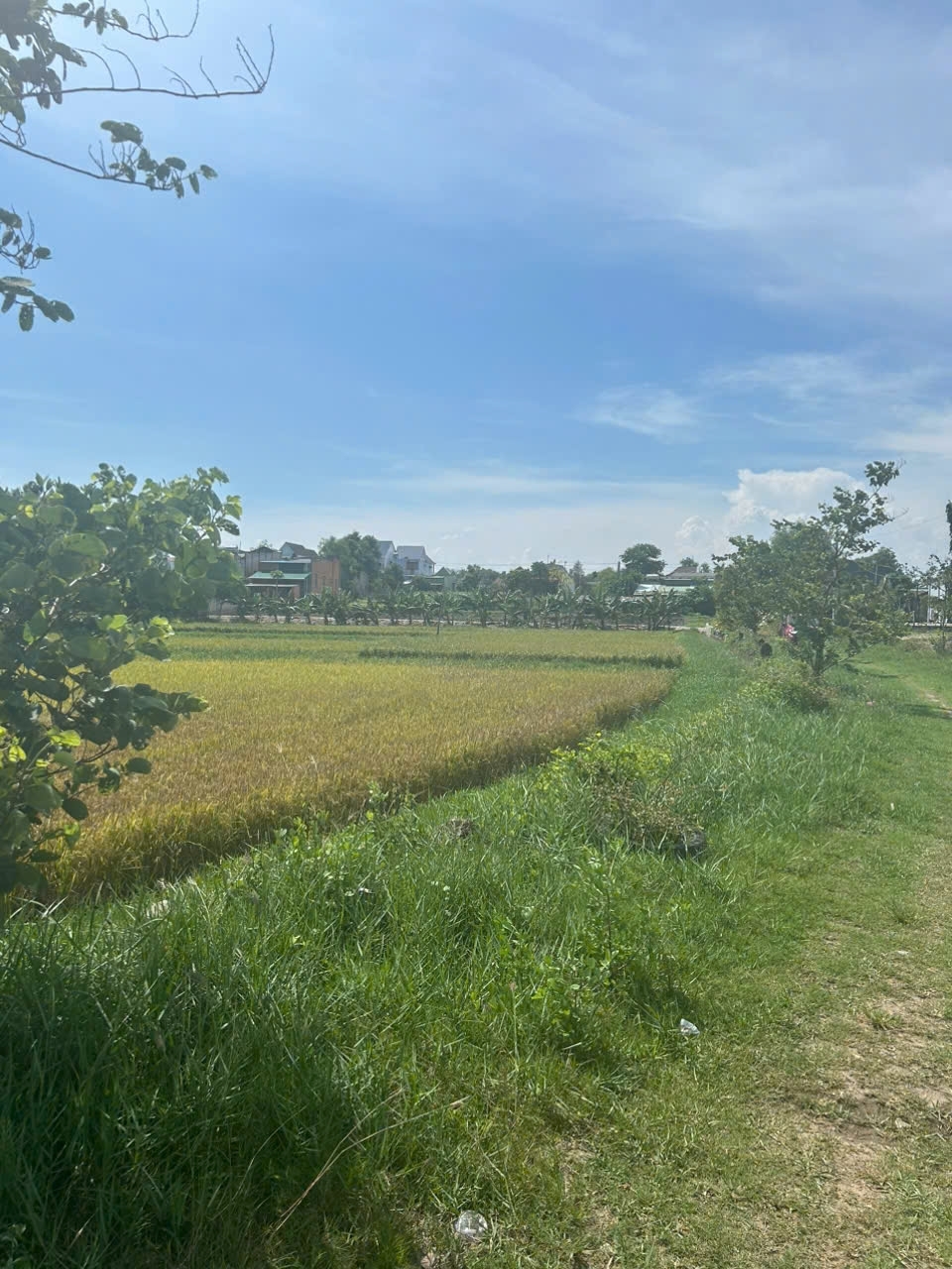 Chỉ 610 triệu/ sào Đất Tân Bình thị xã LaGi cách Biển 2Km